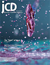 JCD Volume 29  Issue 1  Spring